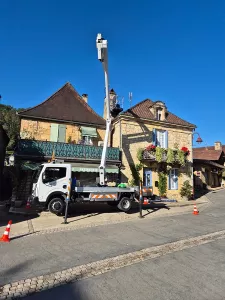Démoussage